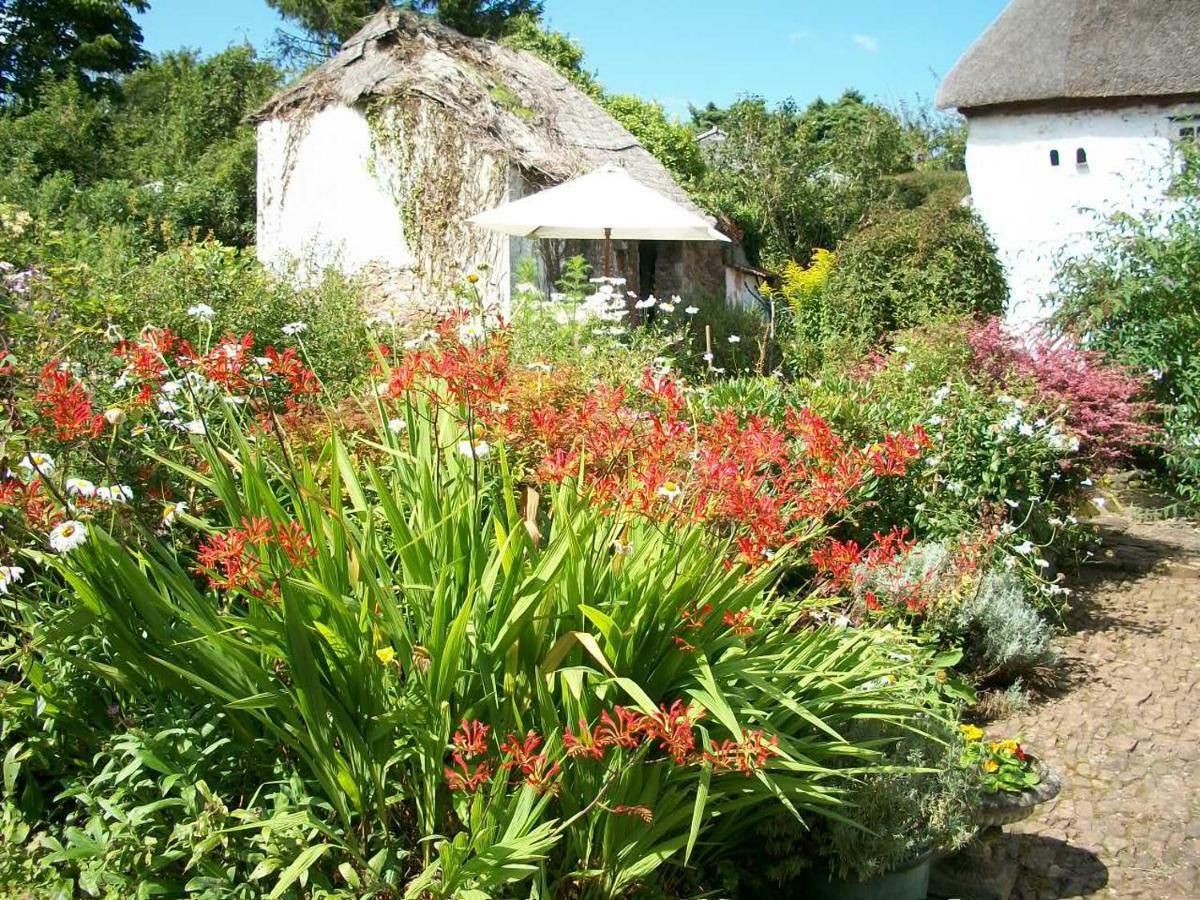Middletown Farmhouse B&B Okehampton Exteriör bild