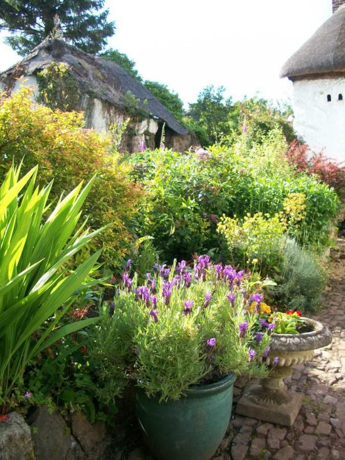 Middletown Farmhouse B&B Okehampton Exteriör bild