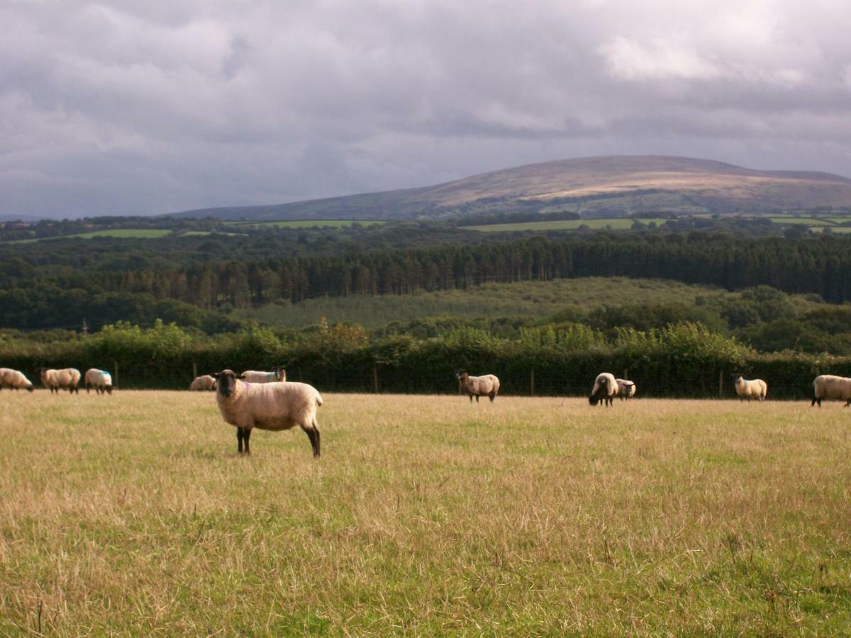 Middletown Farmhouse B&B Okehampton Exteriör bild